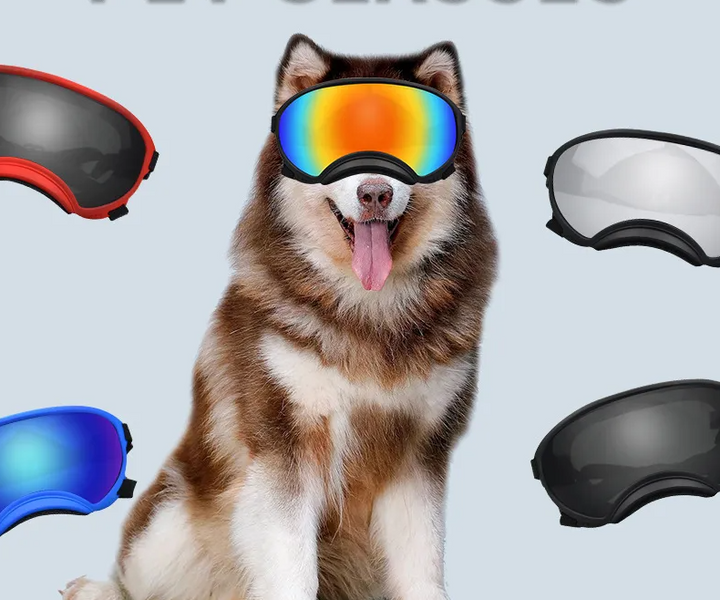 Stiliga hundglasögon med UV-skydd för aktiva hundar. Ger ögonskydd mot sol, vind och smuts.