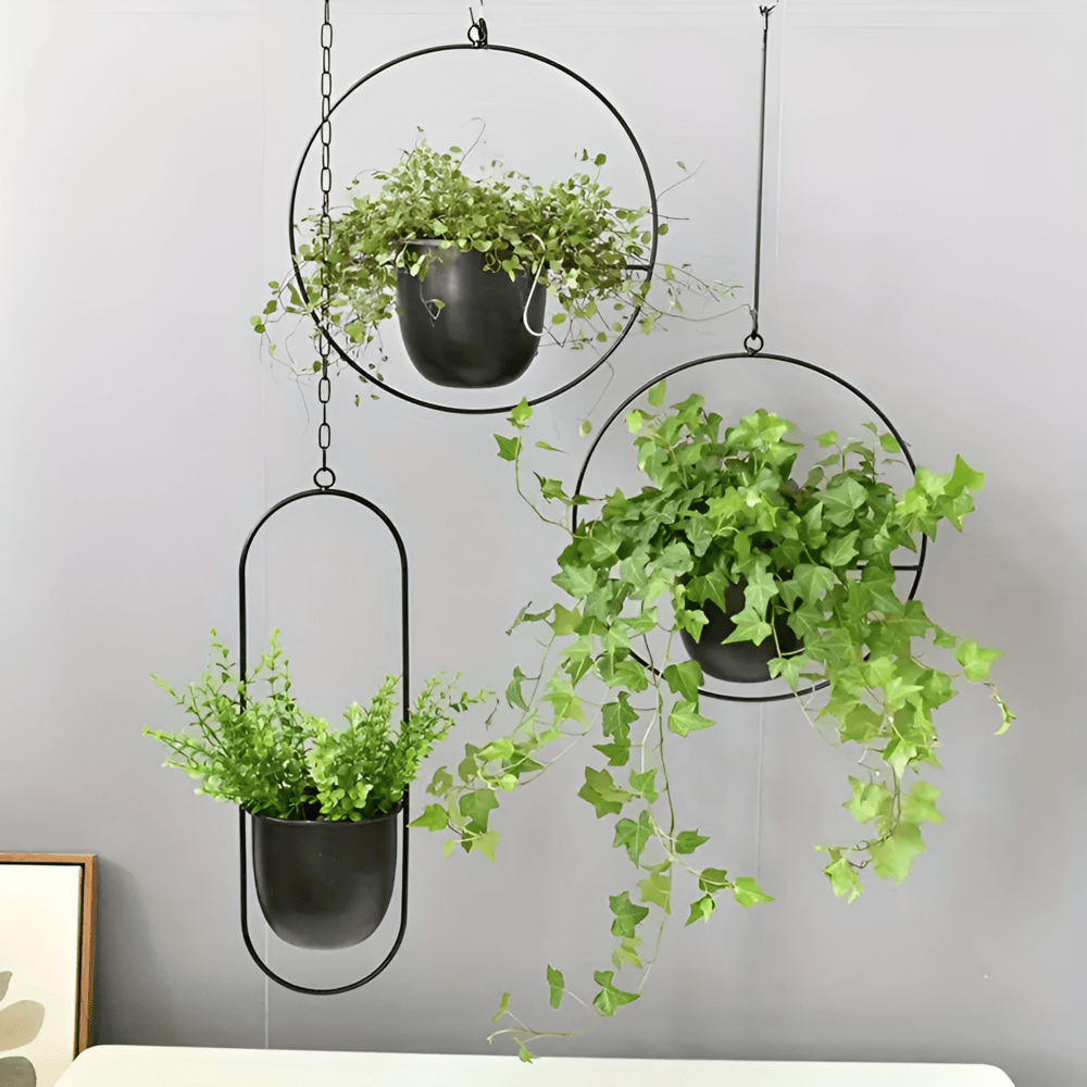 Guldfärgad rund hängande blomkruka, elegant väggdekoration. Modern växtkruka som lyfter rummet.
