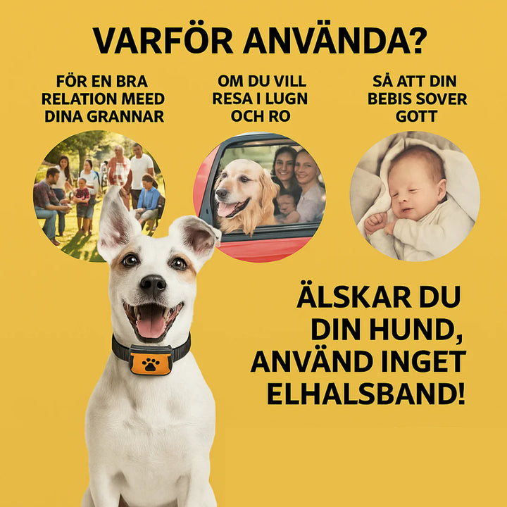 Antiskällhalsband för lugnare vardag, vibrationsfunktion för skonsam korrigering av skällande.