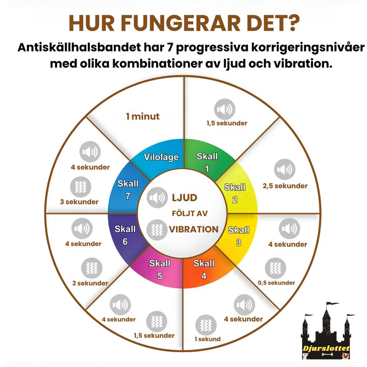 Effektivt antiskällhalsband som hjälper till att skapa en tystare miljö för hund och ägare.