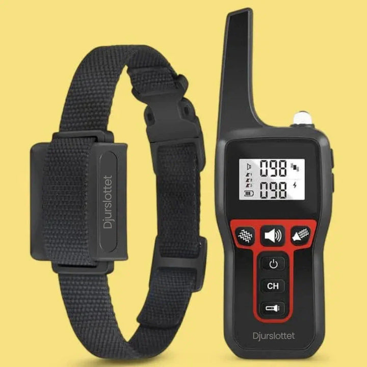 Antiskällhalsband på en lekfull hund, lugnar ner med vibrationsfeedback för bättre beteende.