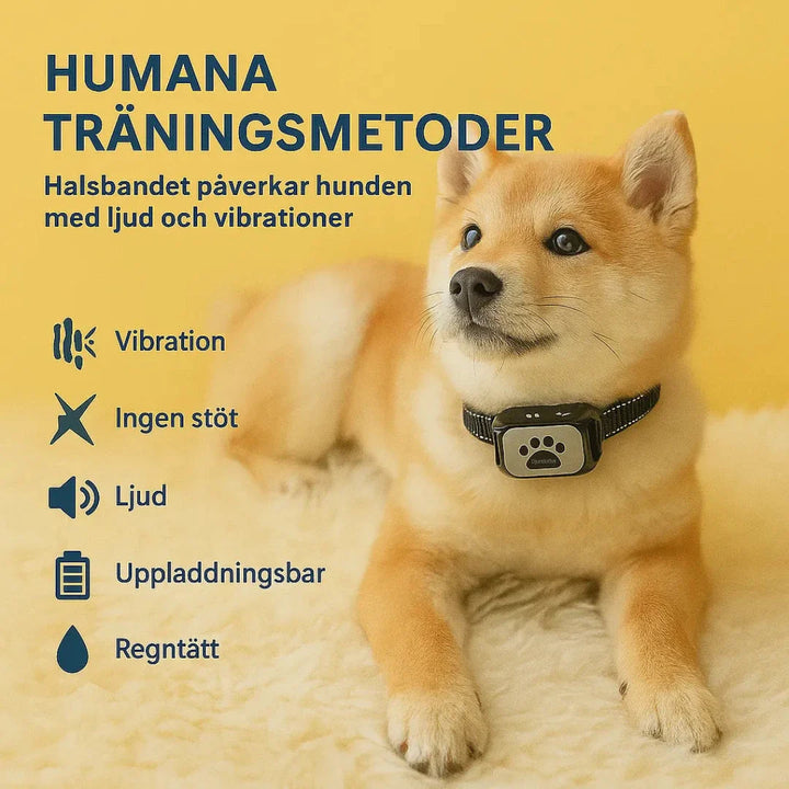Uppladdningsbart antiskällhalsband för husdjur, effektivt för att stoppa överdrivet skällande.