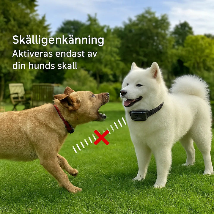 Hundtillbehör: robust antiskällhalsband för långvarig och effektiv skällkontroll.
