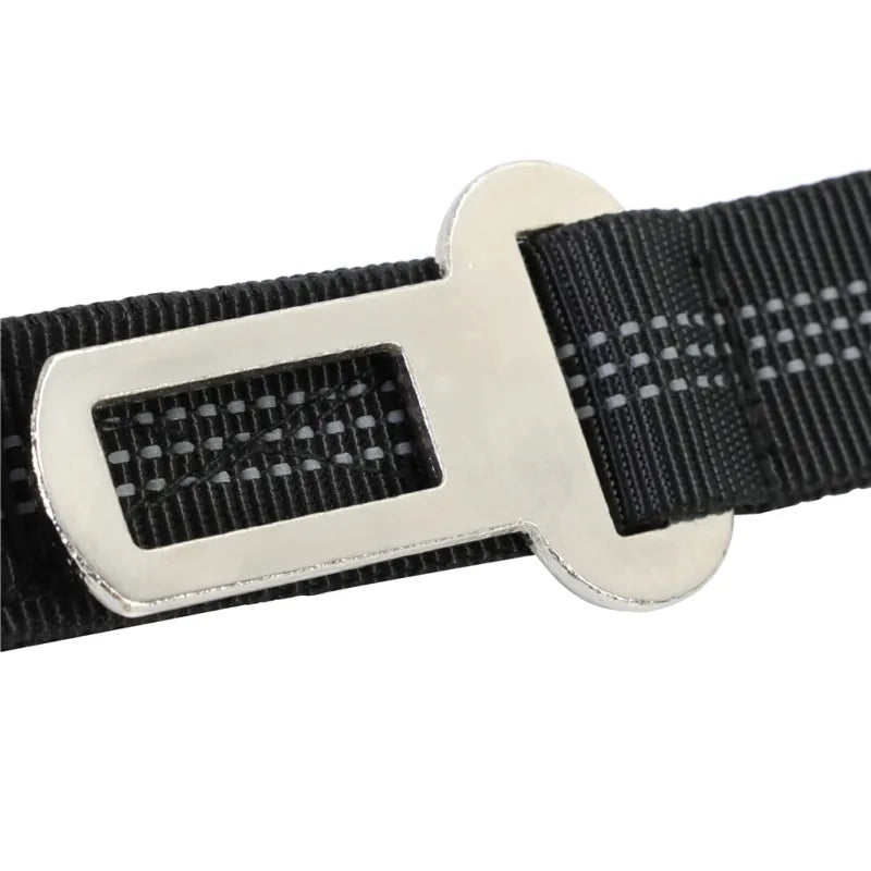 Premium svart hundkoppel med elastisk dämpning, designat för maximal komfort och säkerhet vid promenader.