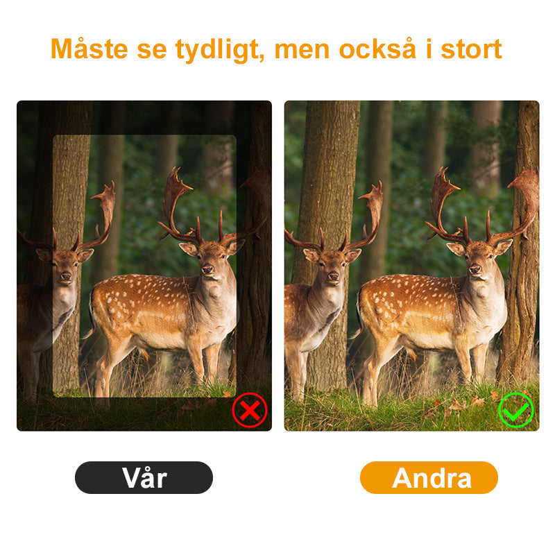 "Svart HD kikare med diopterjustering och vattentät design för svagt ljus, idealisk för utforskning och natur."