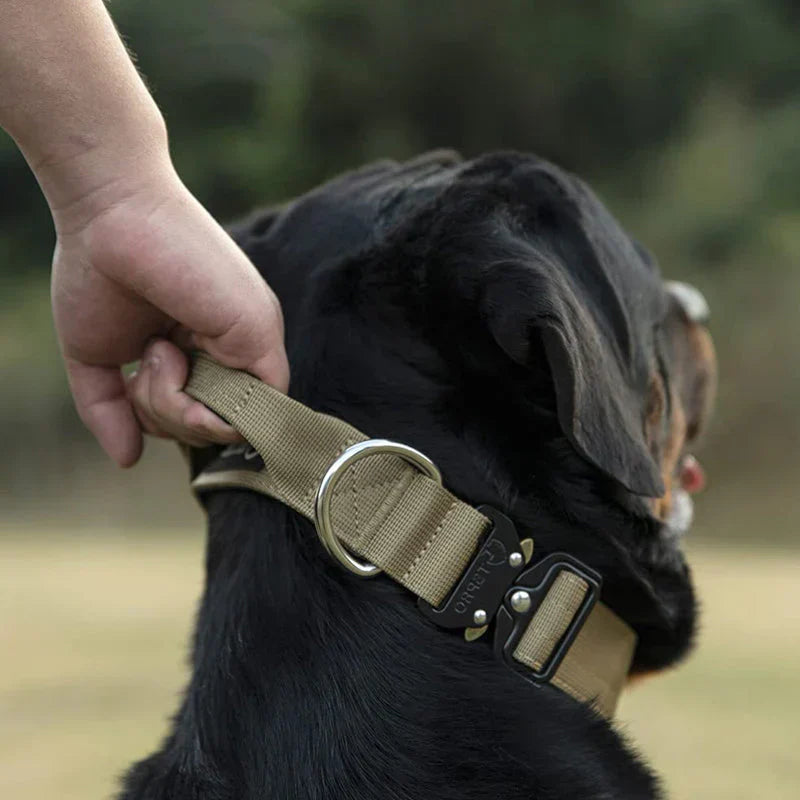 Justerbart hundhalsband i nylon med handtag för ökad säkerhet och enkel kontroll under promenaden.