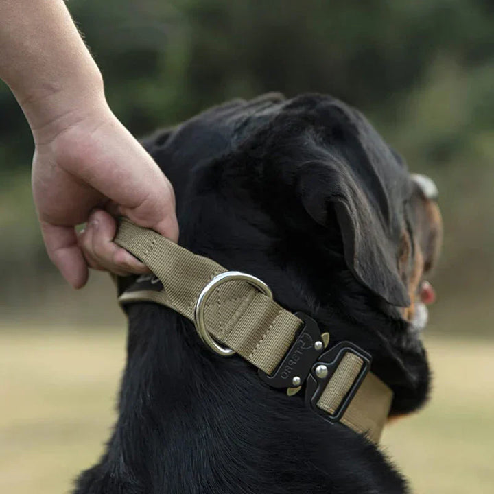 Justerbart hundhalsband i nylon med handtag för ökad säkerhet och enkel kontroll under promenaden.