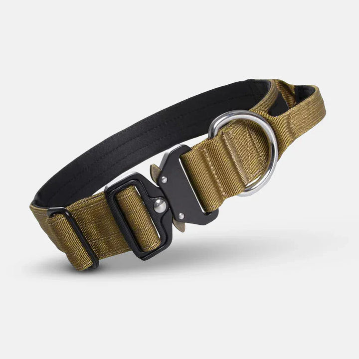 Starkt nylonhalsband med praktiskt handtag, optimalt för hundträning och säkra utflykter med husdjur.