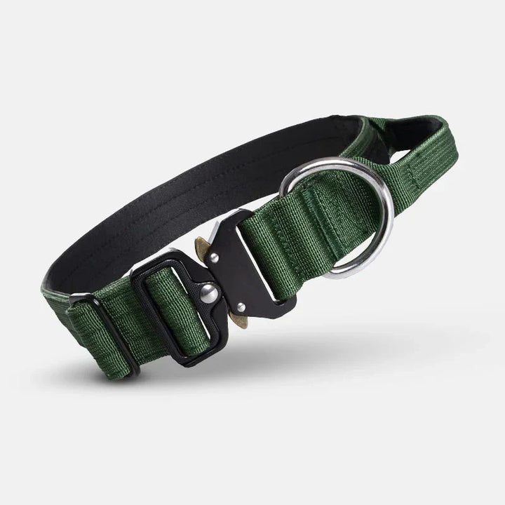 Hundhalsband med greppvänligt handtag för snabb kontroll. Idealisk för aktiva hundar och alla promenader.
