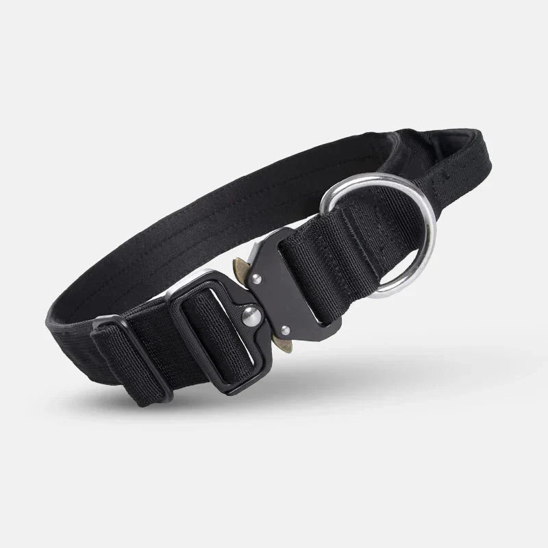 Bekvämt och slitstarkt hundhalsband i nylon med handtag för säkerhet och effektiv hundträning.