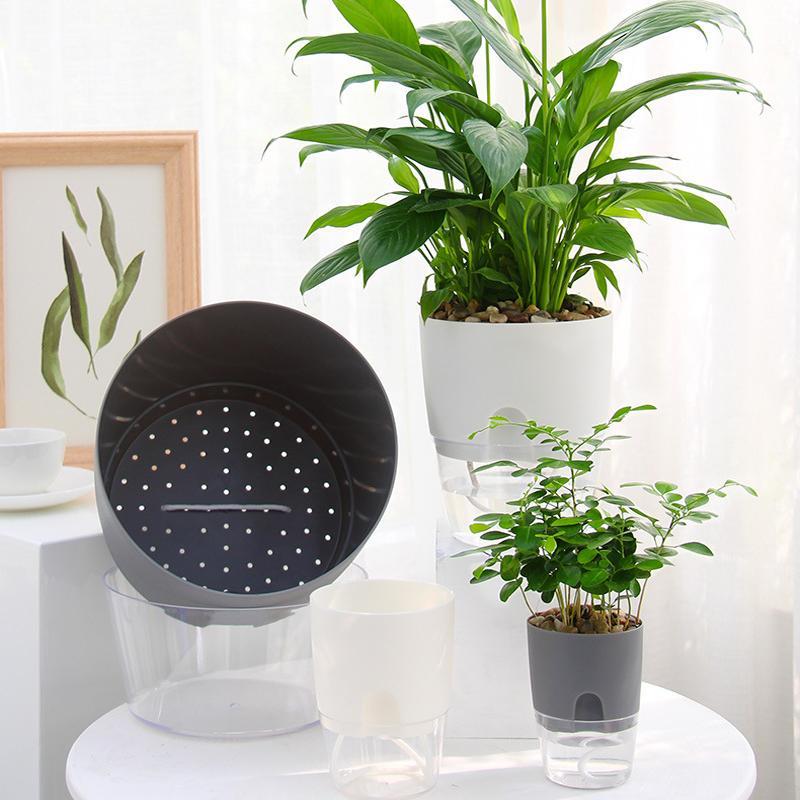 "Transparent självvattnande hydroponisk blomkruka, modern design med synliga rötter, idealisk för hem och kontor."