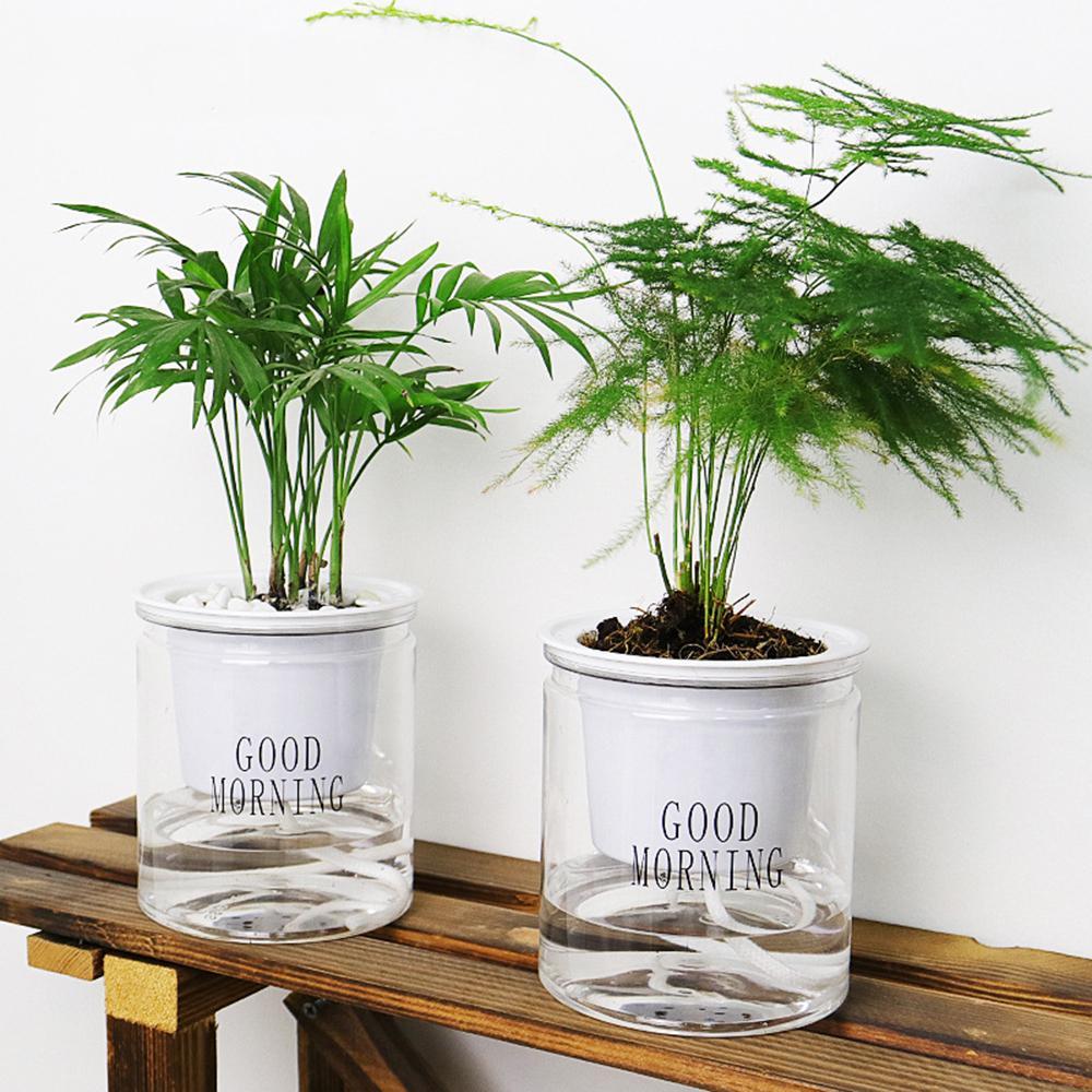 "Transparent självvattnande hydroponisk blomkruka, modern design med synliga rötter, idealisk för hem och kontor."