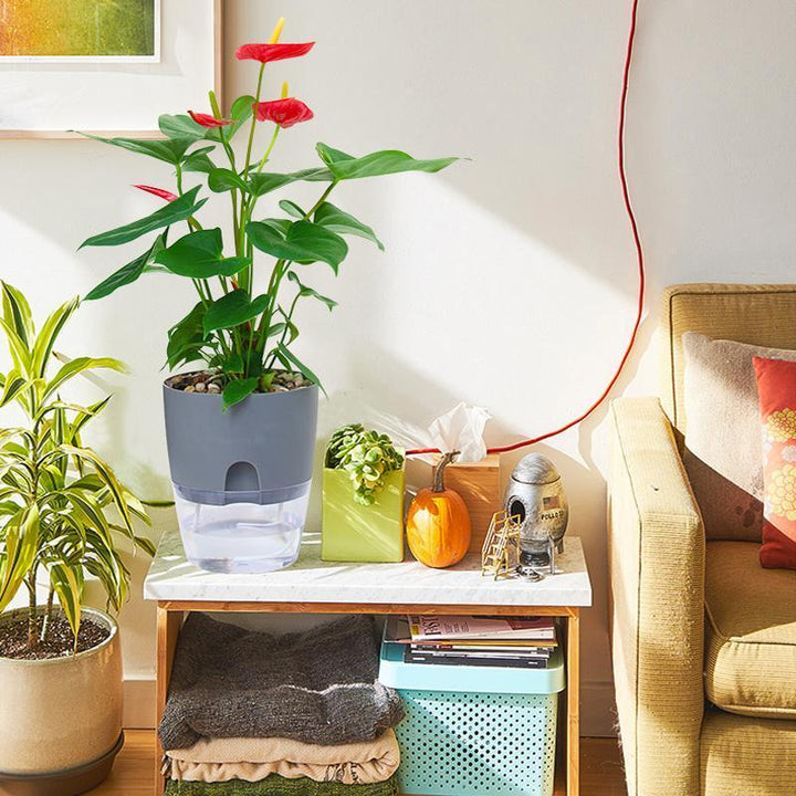 "Transparent självvattnande hydroponisk blomkruka, modern design med synliga rötter, idealisk för hem och kontor."