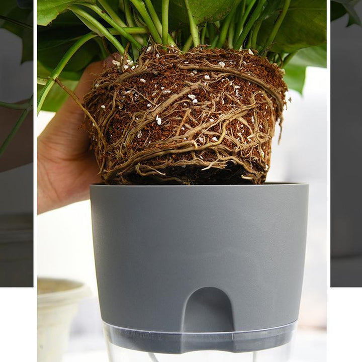 "Transparent självvattnande hydroponisk blomkruka, modern design med synliga rötter, idealisk för hem och kontor."
