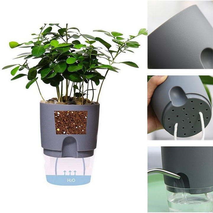 "Transparent självvattnande hydroponisk blomkruka, modern design med synliga rötter, idealisk för hem och kontor."