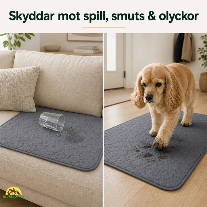 Mjuk, absorberande kissmatta för valpträning. Skyddar golv från olyckor, tvättbar och återanvändbar.