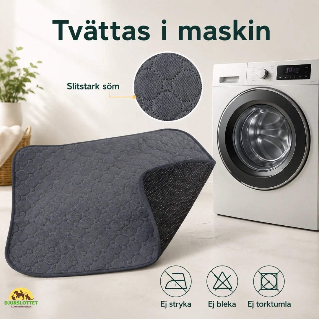 Ekonomisk tvättbar valpmatta. Återanvändbar kissmatta som effektivt skyddar golv och är luktfri.