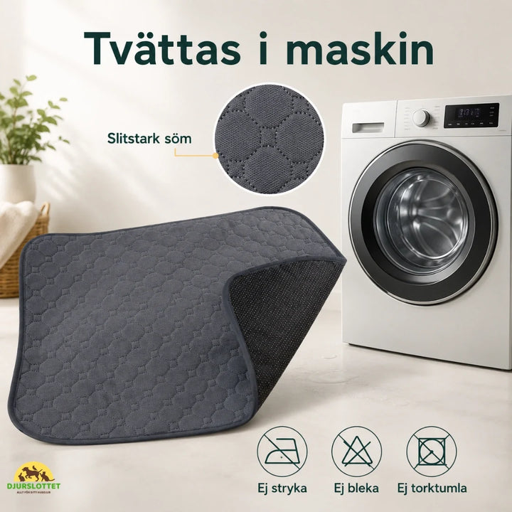 Ekonomisk tvättbar valpmatta. Återanvändbar kissmatta som effektivt skyddar golv och är luktfri.