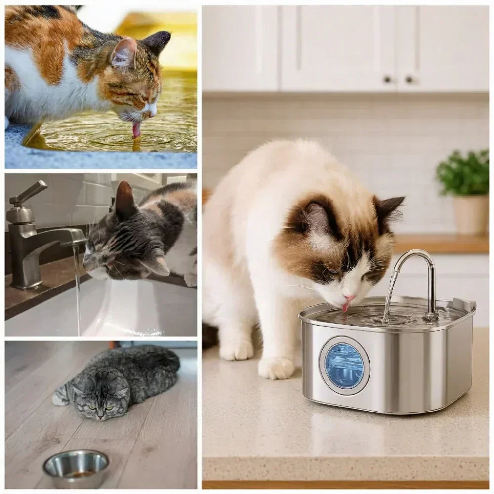 Hygienisk och lättrengjord vattenfontän för husdjur. Fräscht, filtrerat vatten för kattungar, vuxna katter & hundar.