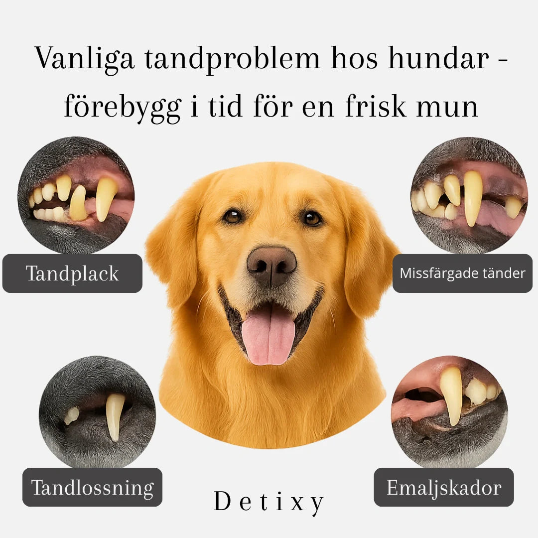 En vit ultraljud tandskrapa för husdjur hålls i en hand, redo för tandvård på hund eller katt.