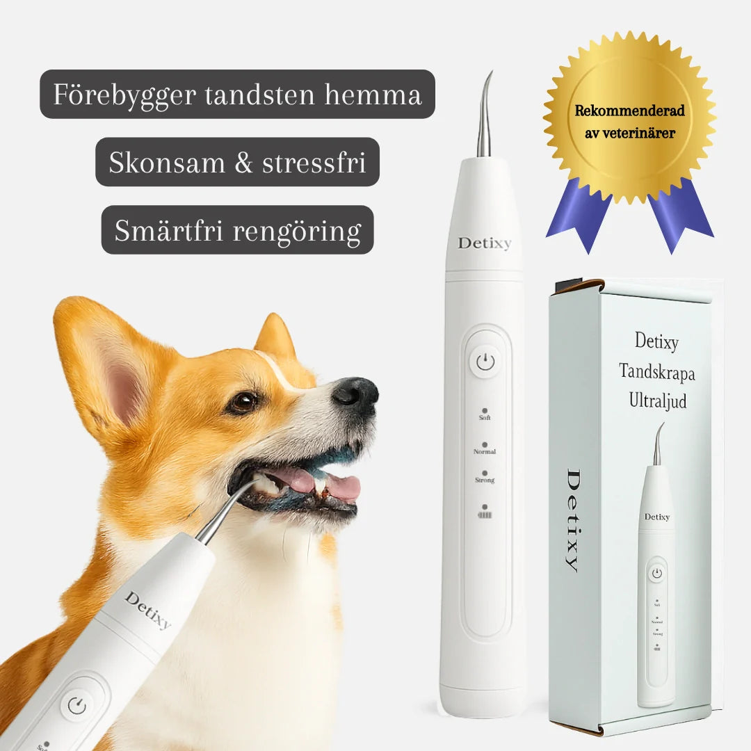 Ergonomisk ultraljud tandskrapa för hund och katt. Säker och skonsam borttagning av tandsten och plack.