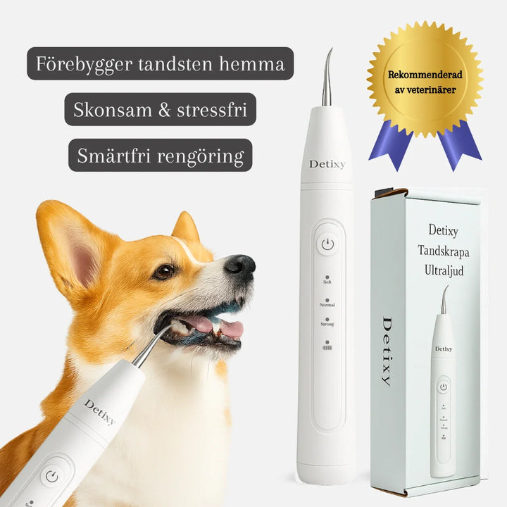 Ergonomisk ultraljud tandskrapa för hund och katt. Säker och skonsam borttagning av tandsten och plack.