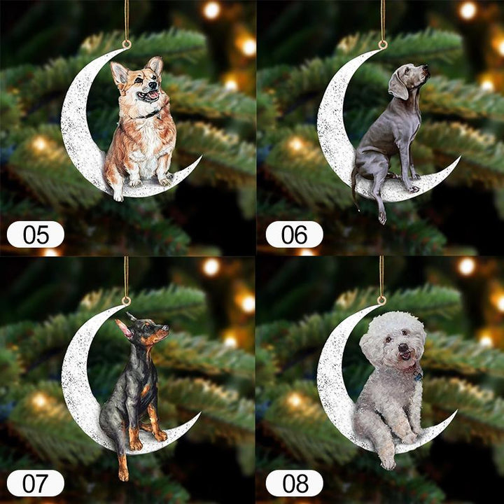 "Unik tvåsidig hängande prydnad i glimmerplast, färgglad och iögonfallande, perfekt som inredningsdetalj eller julpynt."