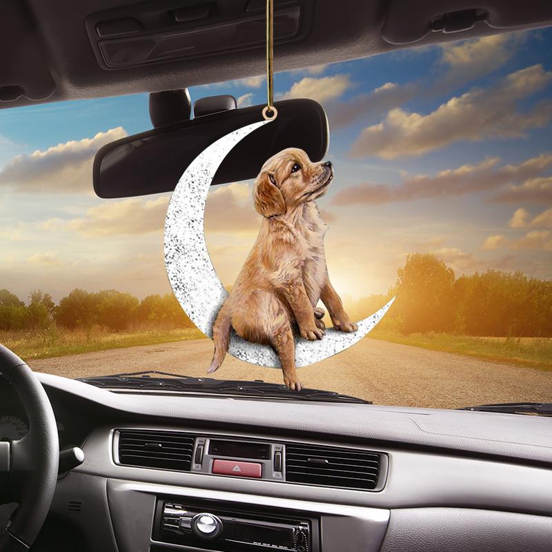 "Unik tvåsidig hängande prydnad i glimmerplast, färgglad och iögonfallande, perfekt som inredningsdetalj eller julpynt."