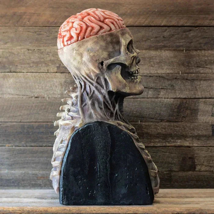 Unisex maskeradmask med skräckfullt skelettdesign. Ett måste för Halloween eller temafesten.