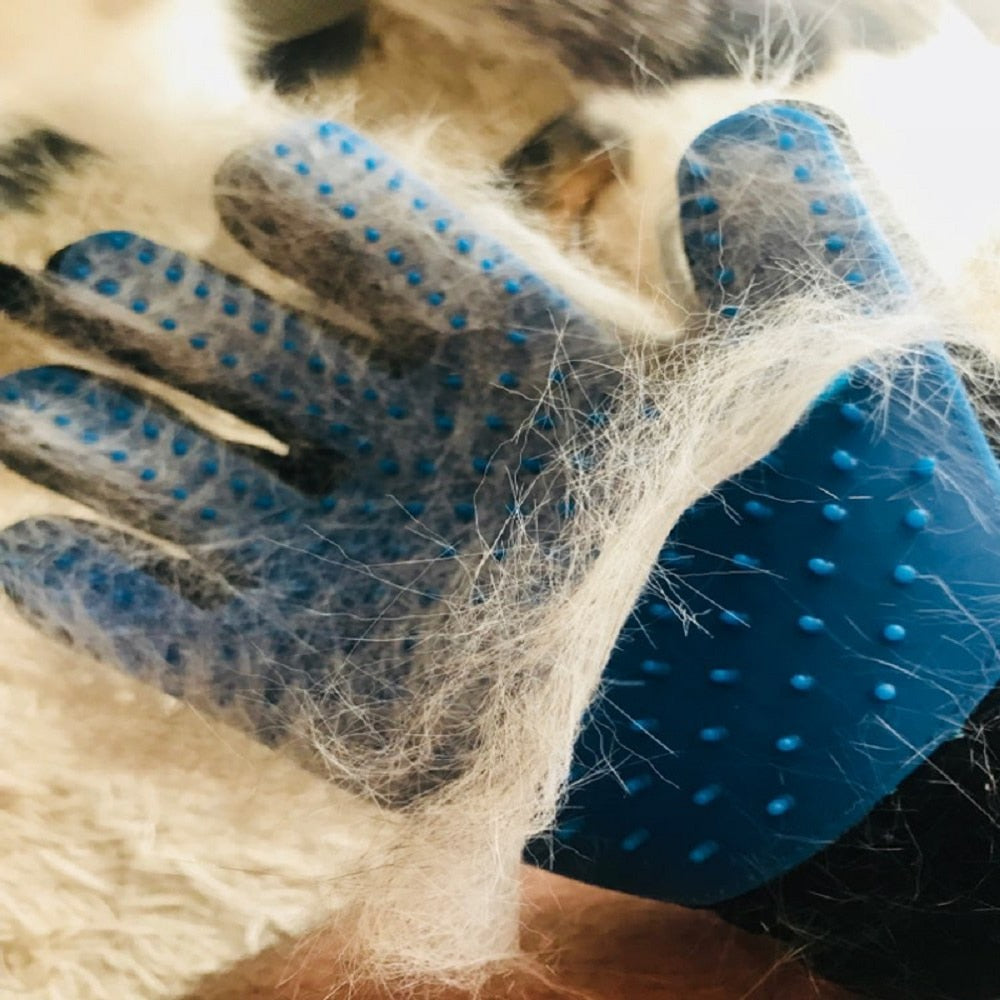 Pälshandske bredvid en lugn katt. Allergivänlig kattborste som effektivt tar bort lös päls & vårdar pälsen.