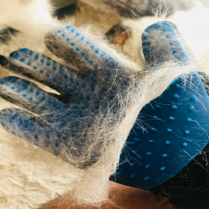 Pälshandske bredvid en lugn katt. Allergivänlig kattborste som effektivt tar bort lös päls & vårdar pälsen.