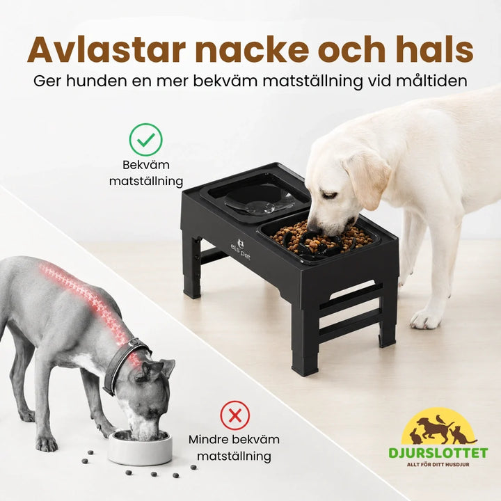 UpFeed Pro slowfeeder-skål med antispill-funktion. Förhindrar hetsätning & minskar kladd för hund & katt.