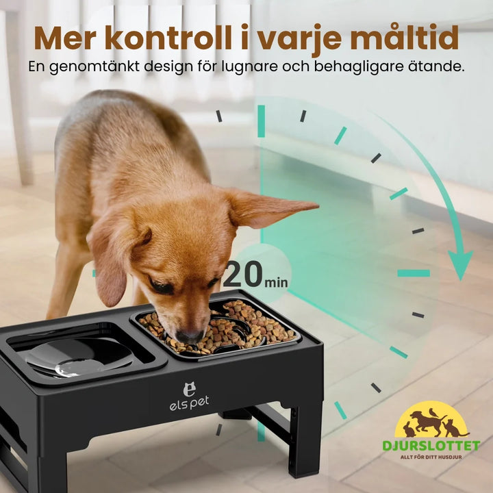 Hund använder UpFeed Pro slowfeeder. Upphöjd & antispillskål ger bekväm & hälsosam måltid.
