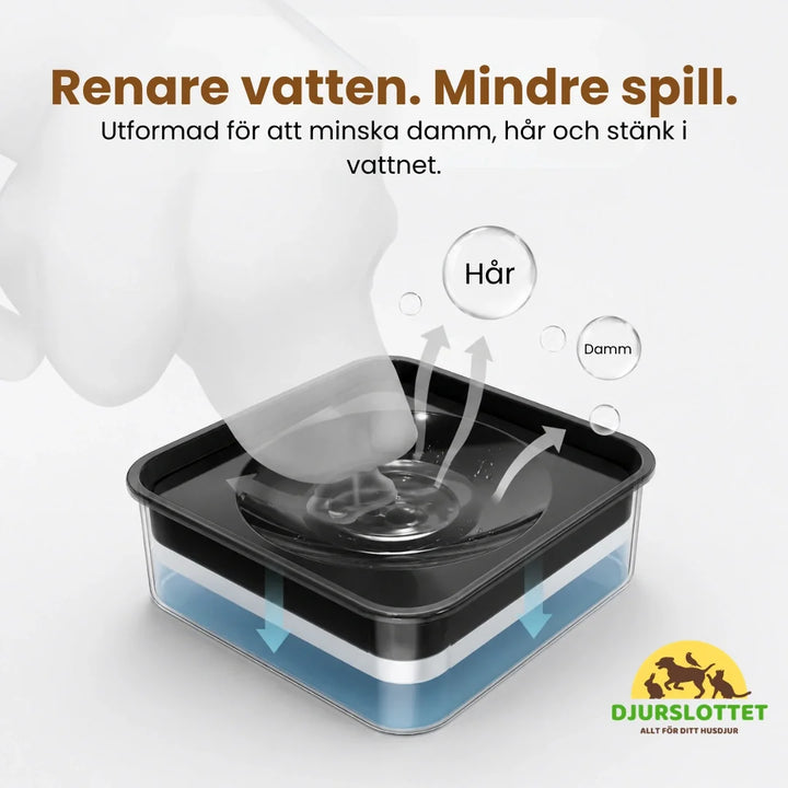 Katt äter ur UpFeed Pro upphöjd antispill-matskål. Ergonomisk slowfeeder för katt & hund.