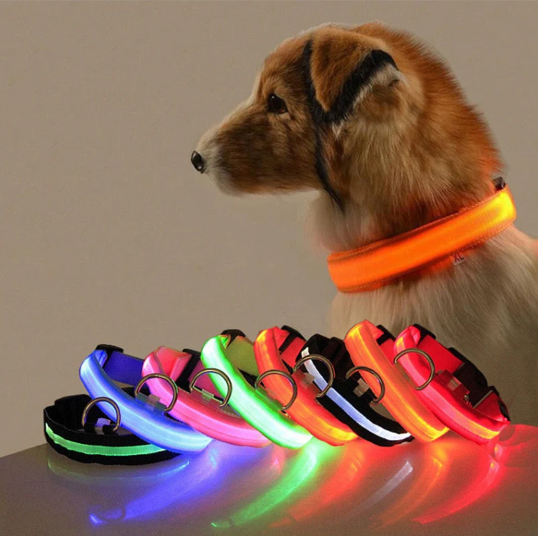 Närbild av ett reflekterande hundhalsband med starka LED-lampor som lyser upp i mörkret för hundens trygghet.