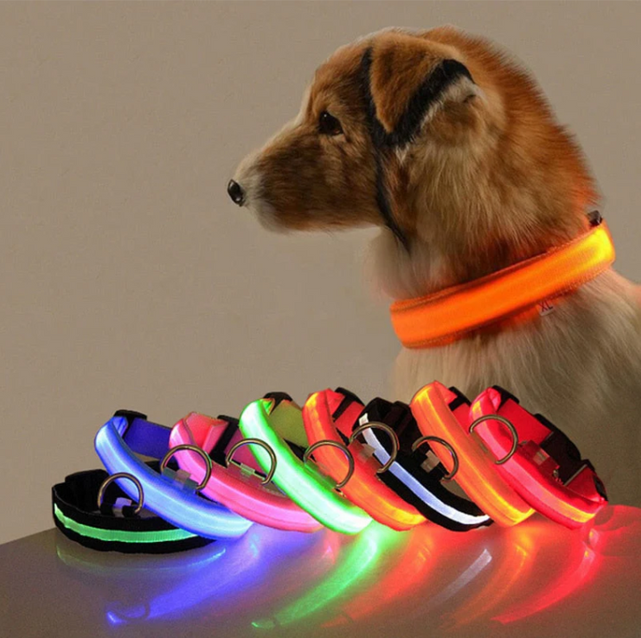 Närbild av ett reflekterande hundhalsband med starka LED-lampor som lyser upp i mörkret för hundens trygghet.