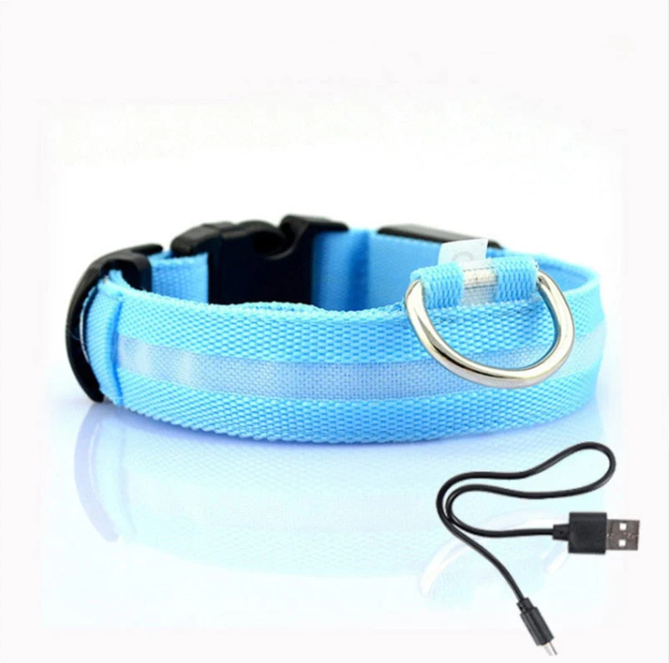 Väderbeständigt LED-hundhalsband med enkel USB-laddning för långvarig användning och maximal synlighet.