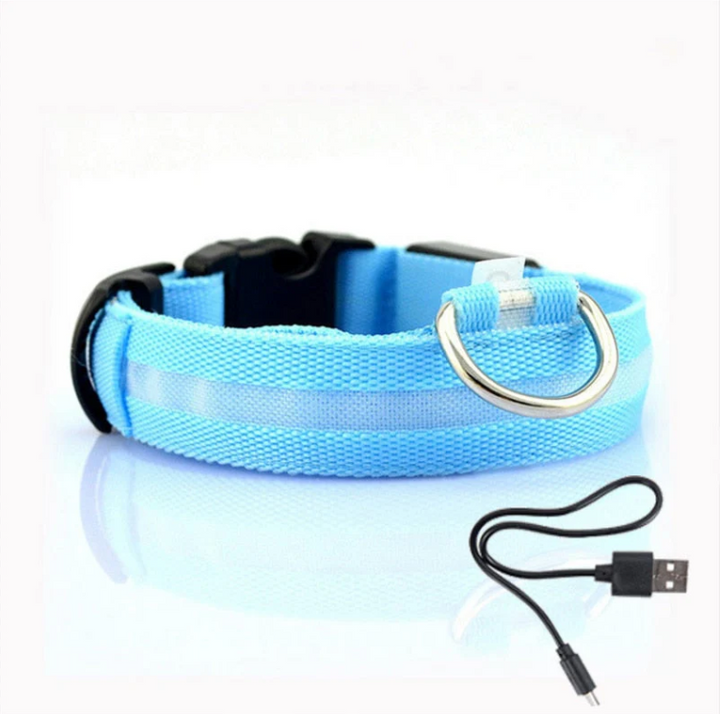 Väderbeständigt LED-hundhalsband med enkel USB-laddning för långvarig användning och maximal synlighet.