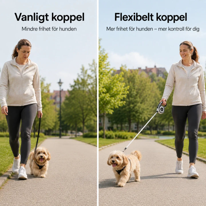 Säkert utdragbart promenadkoppel, 5m, för hund & katt. Bekvämt handtag & pålitlig låsning.