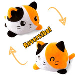 Färgkatt