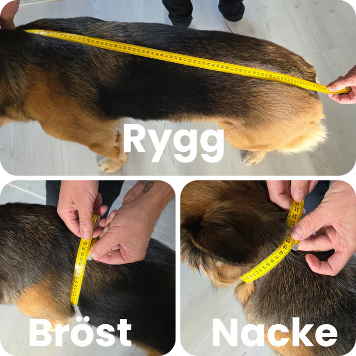 Trendig hundhoodie i stilren design, en mjuk hundtröja som ger din hund både värme och stil.