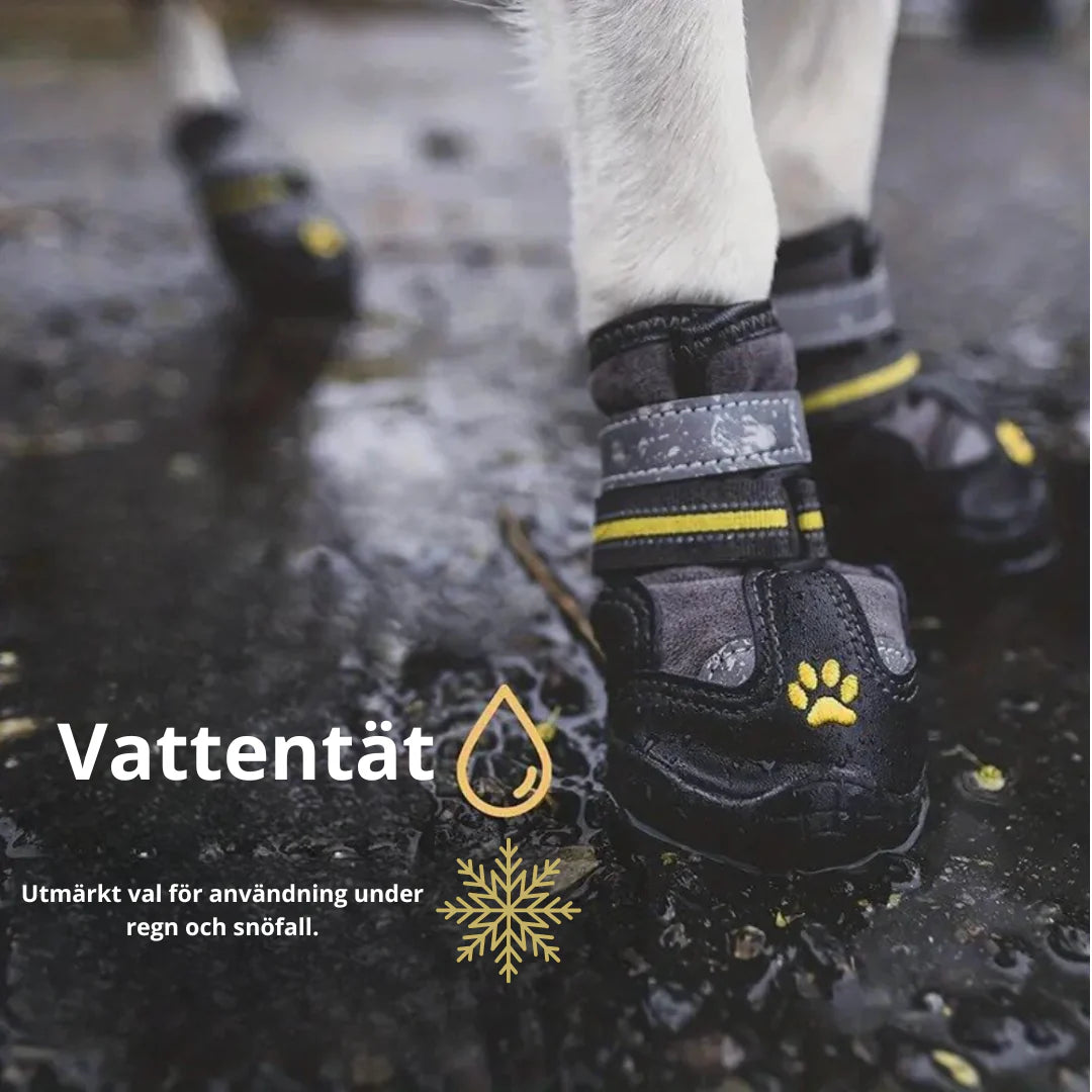 Vattentäta hundskor håller tassarna torra i regn och slask. Med reflex för extra säkerhet utomhus.