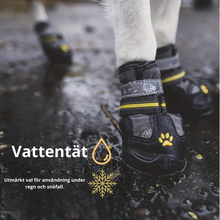 Vattentäta hundskor håller tassarna torra i regn och slask. Med reflex för extra säkerhet utomhus.
