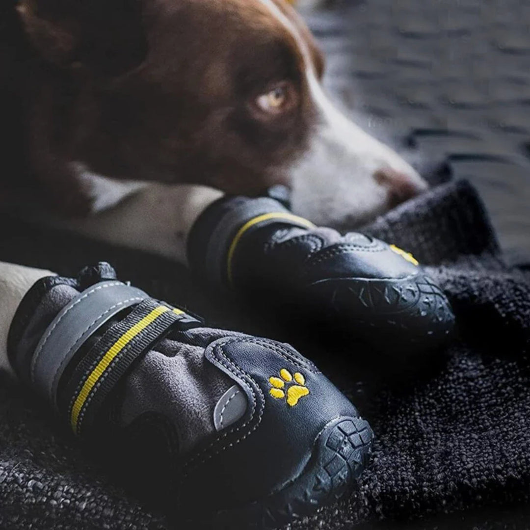 Mångsidiga hundskor: vattentäta, reflekterande tasskydd för vandring, löpning och dagliga promenader.