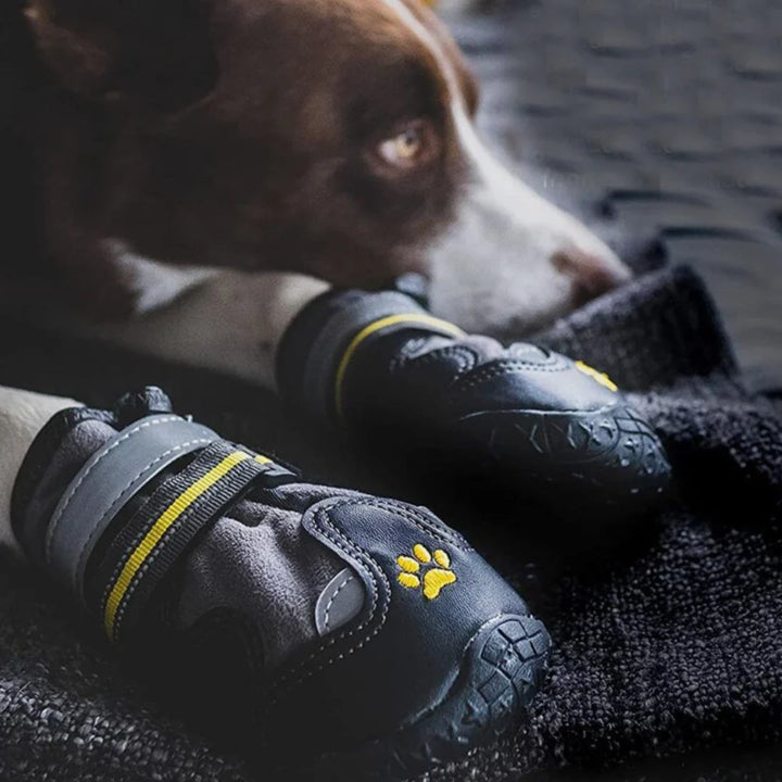 Mångsidiga hundskor: vattentäta, reflekterande tasskydd för vandring, löpning och dagliga promenader.