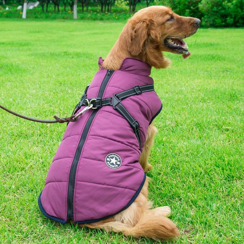 Vattentät vinterrock med dragkedja för hund, fleecefoder, reflekterande detaljer, finns i rött, blått, grönt, lila, svart.