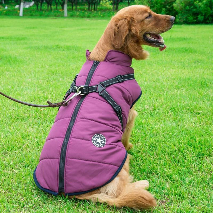 Vattentät vinterrock med dragkedja för hund, fleecefoder, reflekterande detaljer, finns i rött, blått, grönt, lila, svart.