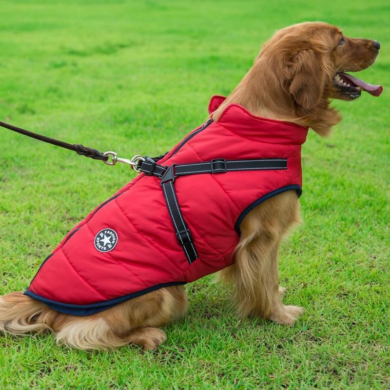 Vattentät vinterrock med dragkedja för hund, fleecefoder, reflekterande detaljer, finns i rött, blått, grönt, lila, svart.