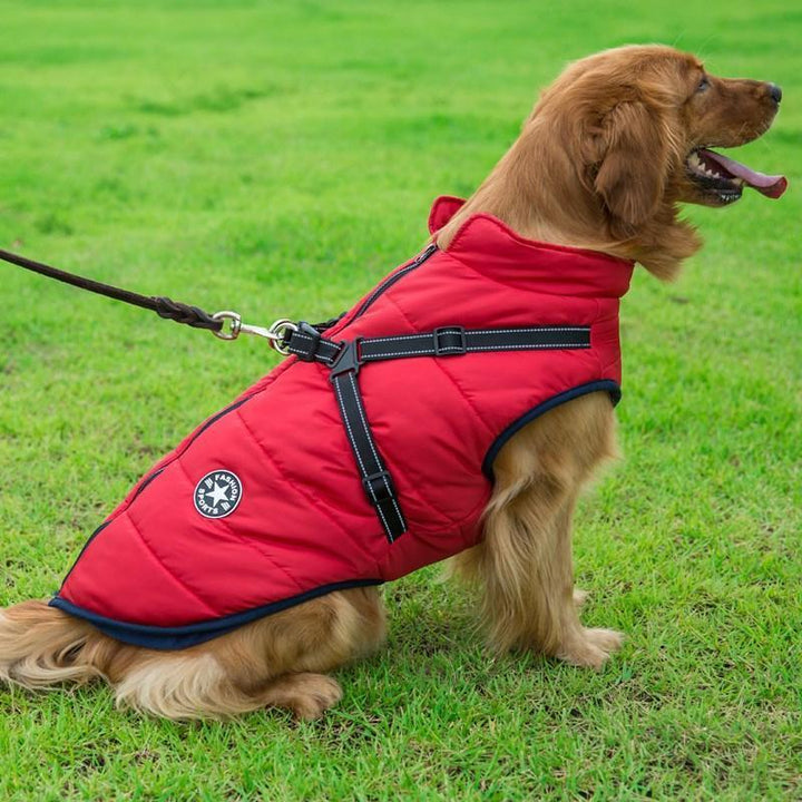 Vattentät vinterrock med dragkedja för hund, fleecefoder, reflekterande detaljer, finns i rött, blått, grönt, lila, svart.
