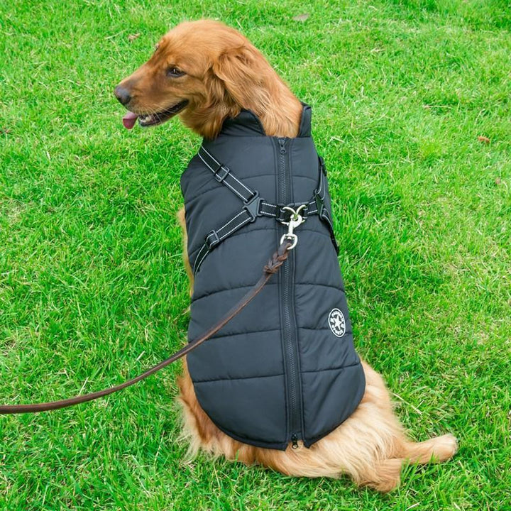 Vattentät vinterrock med dragkedja för hund, fleecefoder, reflekterande detaljer, finns i rött, blått, grönt, lila, svart.